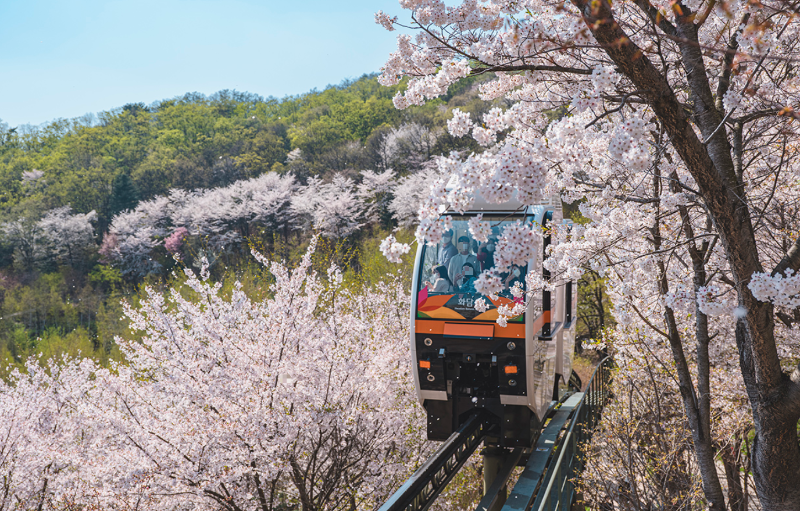 화담숲 예약 방법 및 이용 안내
