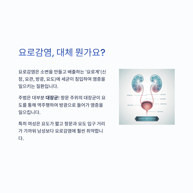 화장실만 자꾸 가고 싶고 찌릿! 혹시 나도 '요로감염'?(원인, 증상, 예방법 총정리)
