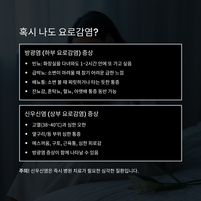 화장실만 자꾸 가고 싶고 찌릿! 혹시 나도 '요로감염'?(원인, 증상, 예방법 총정리)