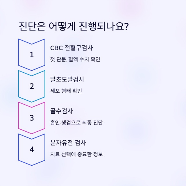 백혈병 초기증상, 무엇을 어떻게 알아차려야 할까요?