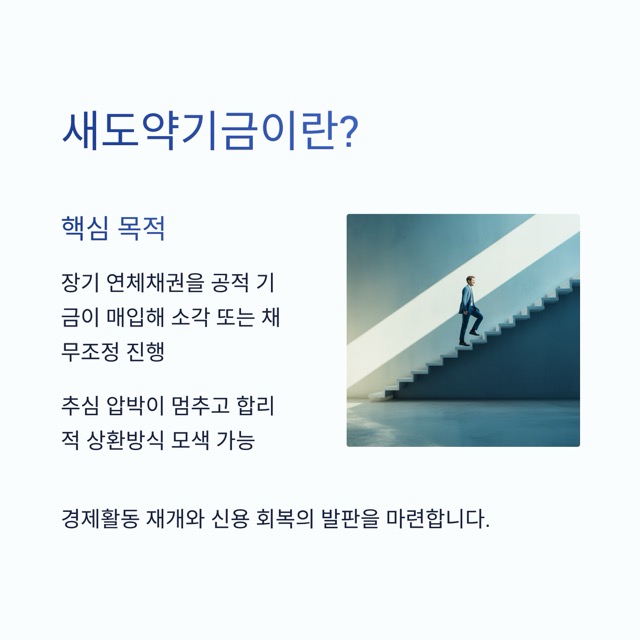 2025 새도약기금 핵심 키워드 모음: 대상, 소각, 채무조정, 추심 중단, 일정