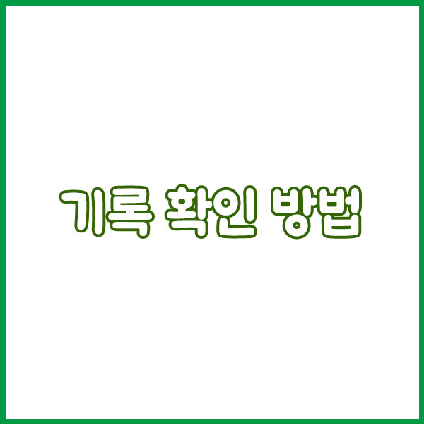 2025 한강의기적마라톤 기록확인