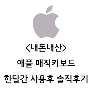 애플 매직키보드 후기 내돈내산