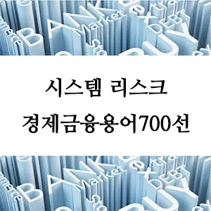 시스템 리스크