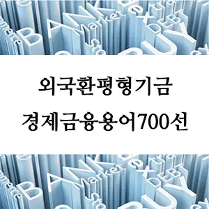 경제금융용어 700선-외국환평형기금