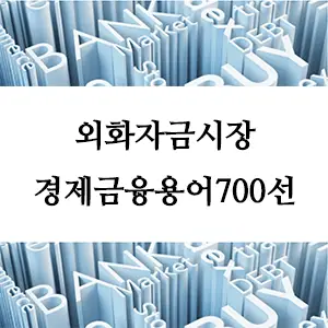 경제금융용어 700선-외화자금시장
