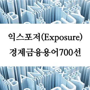 경제금융용어 700선-익스포저(Exposure): 금융에서의 개념과 중요성