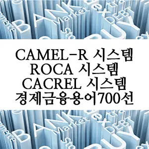 경제금융용어 700선-CAMEL-R 시스템, ROCA 시스템, CACREL 시스템: 금융 리스크 평가 시스템 알아보기