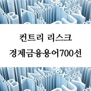 경제금융용어 700선-컨트리 리스크란 무엇인가? 해외 투자 필수 개념 알아보기