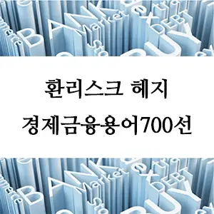 경제금융용어 700선-환리스크 헤지란? 외환 변동성 대응을 위한 필수 전략