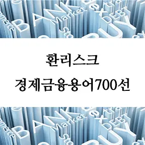 경제금융용어 700선-환리스크란 무엇인가? 기업과 개인을 위한 외환 위험 관리 가이드