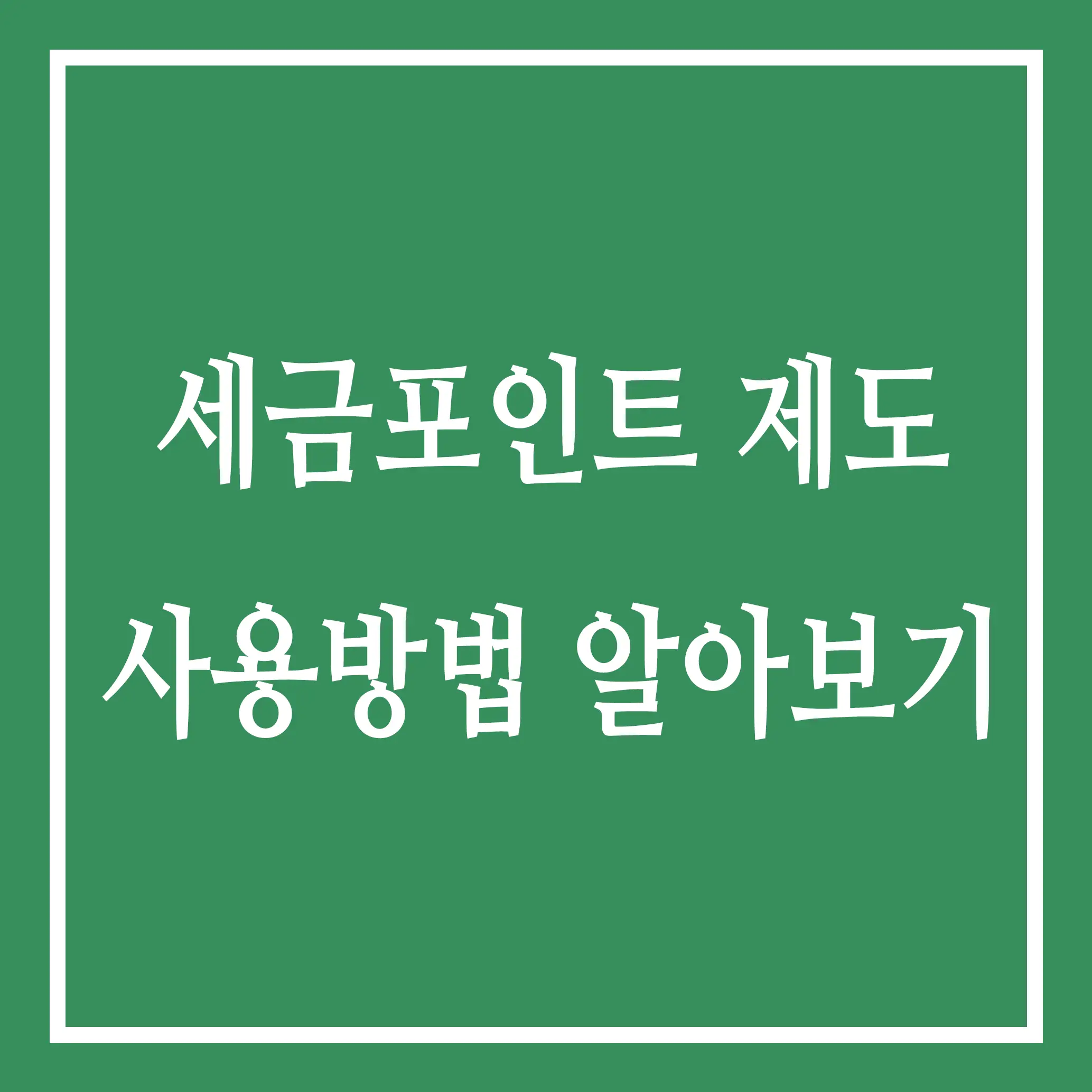 세금포인트 혜택 및 사용 방법