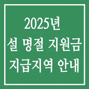 2025년 설 명절 지원금 지급지역 안내