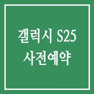 갤럭시 S25 사전예약