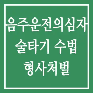음주운전 의심자 술타기 수법 형사처벌