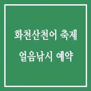 화천산천어축제 얼음낚시 예약 안내
