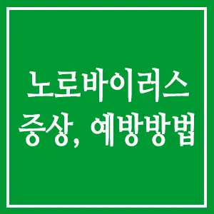 노로바이러스 증상 예방방법