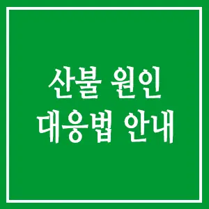 산불 원인 대응법 안내
