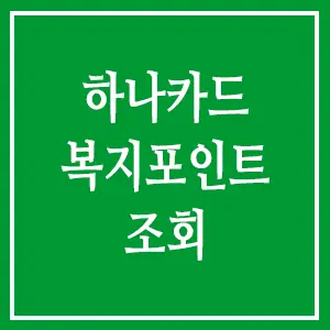하나카드 복지포인트 조회 방법