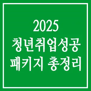 2025 청년취업성공패키지 총정리