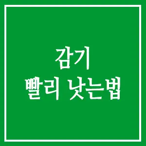 감기 빨리 낫는 법