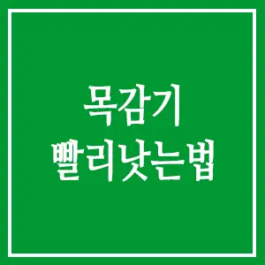 목감기 빨리낫는법