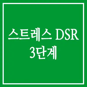 스트레스 DSR 3단계
