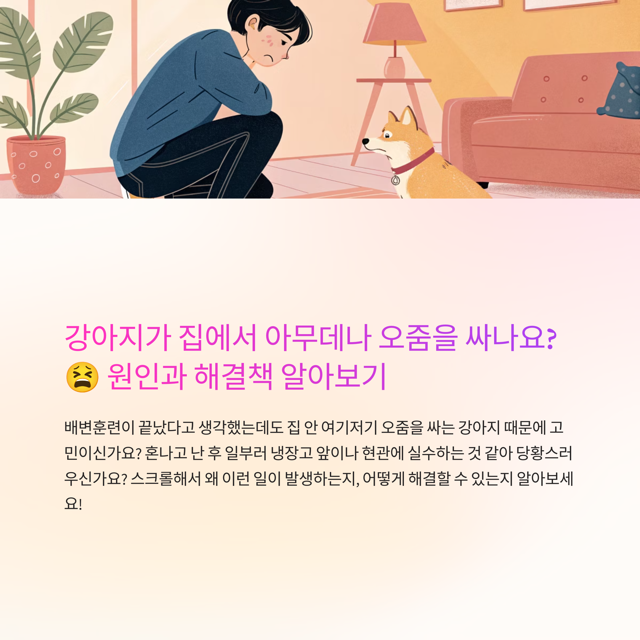 강아지 배변훈련 끝났는데, 집에서 아무데나 오줌을 싸요 - 원인과 대처법