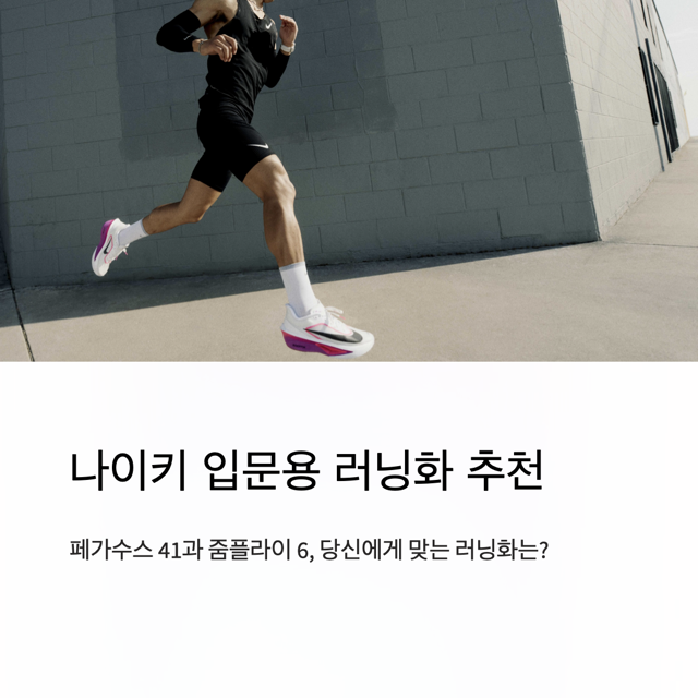 나이키 페가수스 41 vs 줌플라이 6: 나이키 러닝화 추천 - 입문용