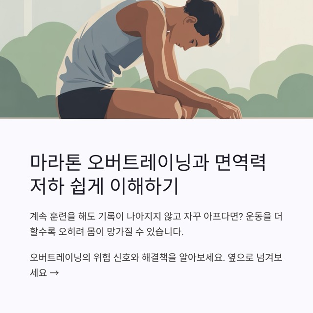 마라톤 오버트레이닝과 면역력 저하 쉽게 이해하기