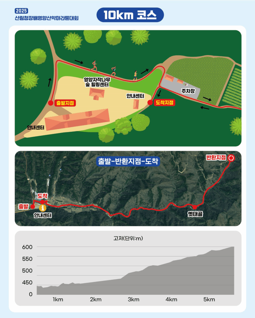 2025 산림청장배 영양 산악마라톤대회 기록확인 가이드(일정·코스·접수·시상·기록증 총정리)