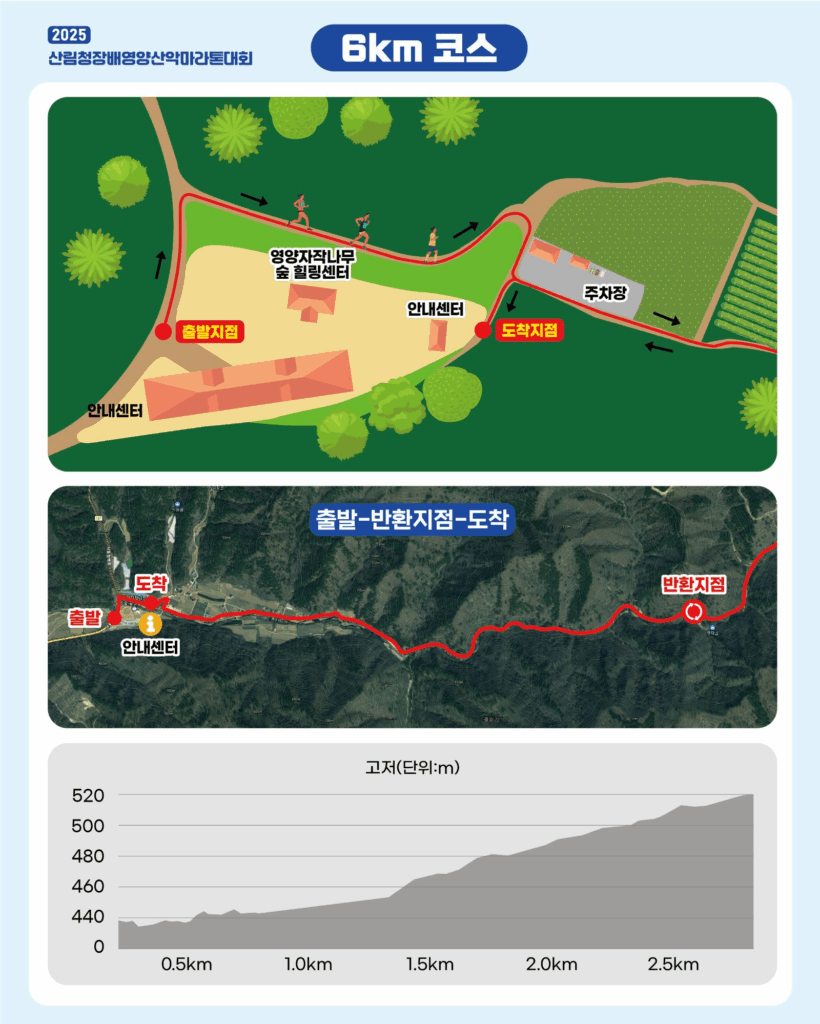 2025 산림청장배 영양 산악마라톤대회 기록확인 가이드(일정·코스·접수·시상·기록증 총정리)