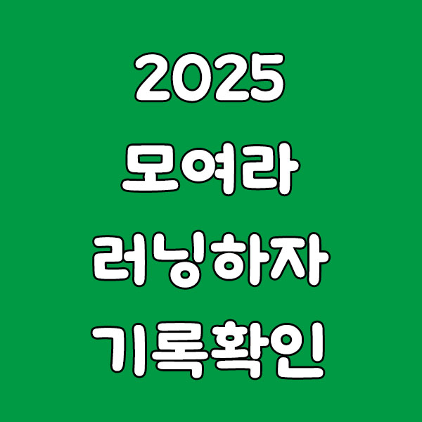 2025 모여라 러닝하자 기록확인 가이드: 결과 조회·기록증·사진까지 한 번에
