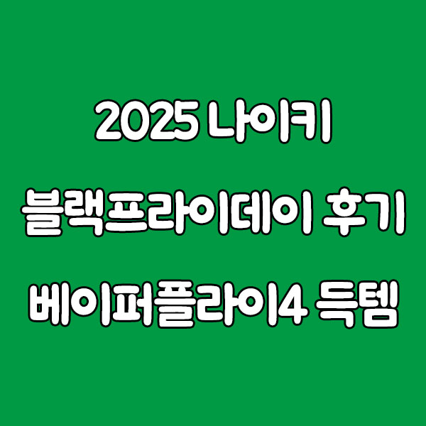 2025 블랙프라이데이 후기