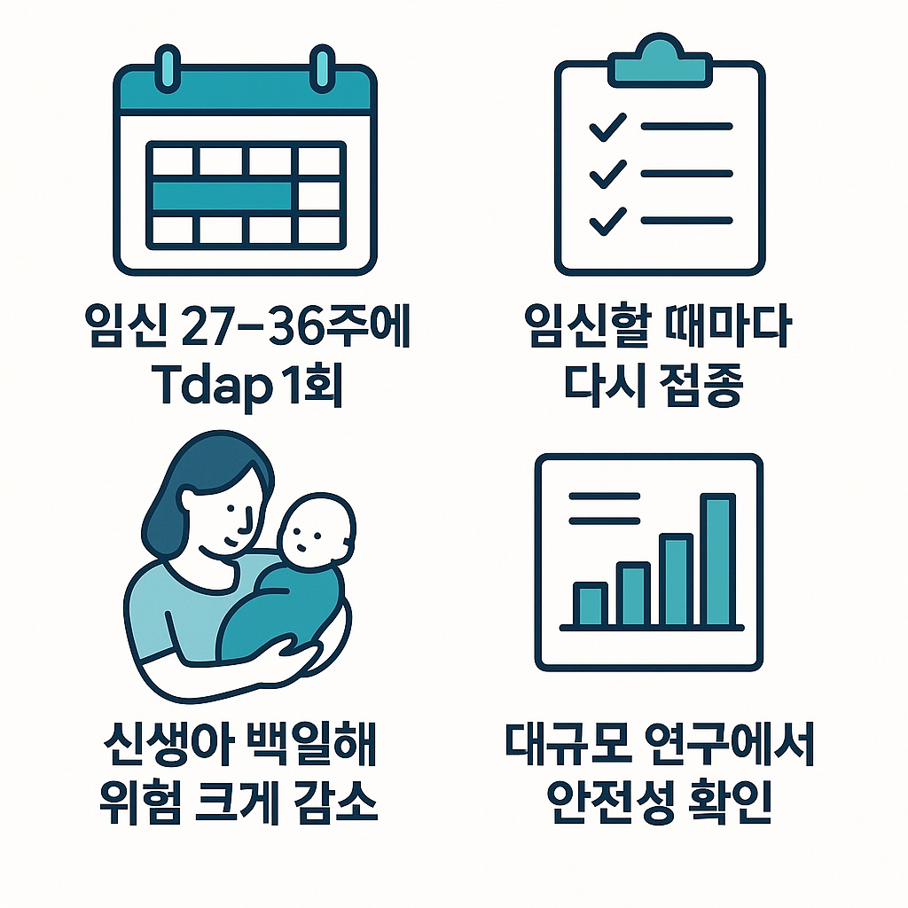 임산부 백일해주사 접종 시기와 효과를 한눈에 정리한 인포그래픽