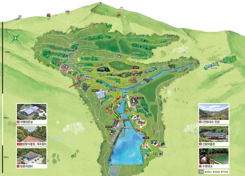 완도 가볼만한 곳, 완도수목원 이용안내