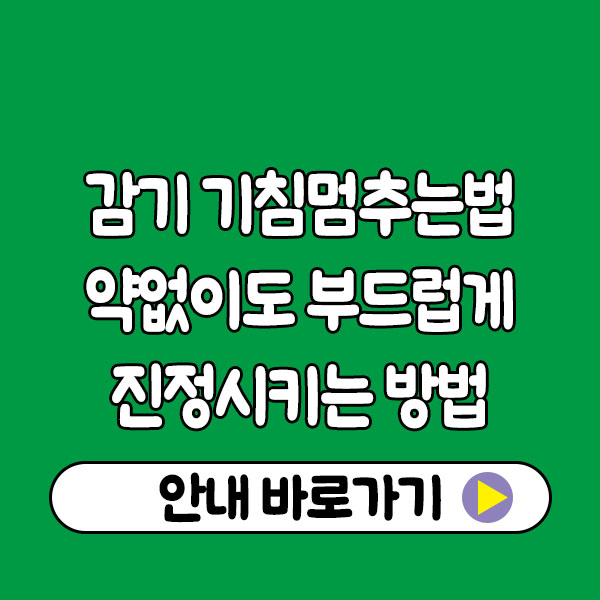 감기 기침 멈추는법 총정리｜약 없이도 부드럽게 진정시키는 방법