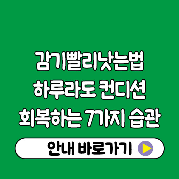 감기빨리낫는법 총정리｜하루라도 빨리 컨디션 회복하는 7가지 습관