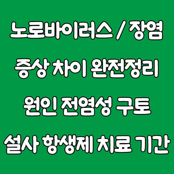 노로바이러스 vs 장염 증상 차이 완전정리 - 원인 전염성 구토 설사 항생제 치료 회복기간 norovirus enteritis
