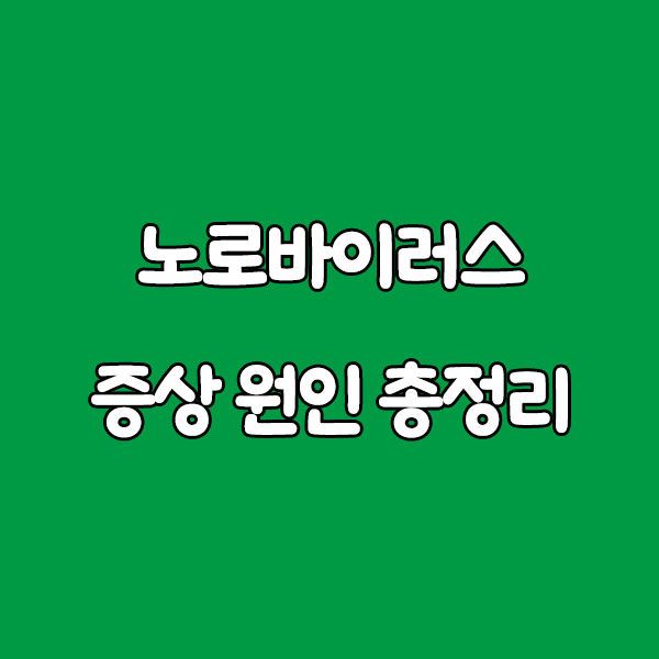 노로바이러스 증상 원인 총정리 (굴 장염 어린이 발현시간 전염 치료까지 한번에 알아보기) norovirus symptoms