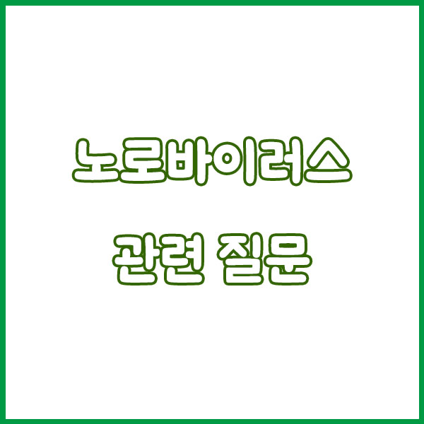 노로바이러스 증상 원인 총정리 (굴 장염 어린이 발현시간 전염 치료까지 한번에 알아보기) norovirus symptoms