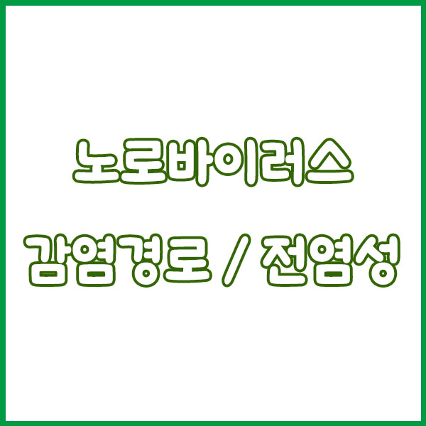 노로바이러스 증상 원인 총정리 (굴 장염 어린이 발현시간 전염 치료까지 한번에 알아보기) norovirus symptoms