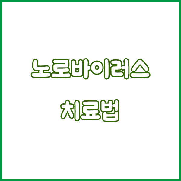 노로바이러스 증상 원인 총정리 (굴 장염 어린이 발현시간 전염 치료까지 한번에 알아보기) norovirus symptoms