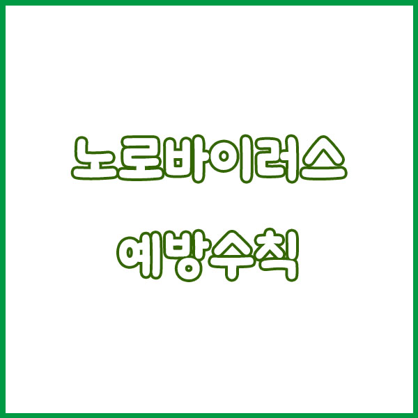 노로바이러스 증상 원인 총정리 (굴 장염 어린이 발현시간 전염 치료까지 한번에 알아보기) norovirus symptoms