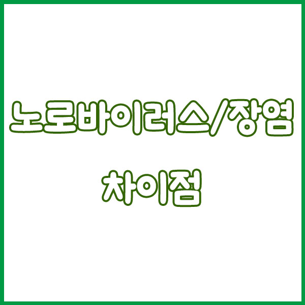 노로바이러스 vs 장염 증상 차이 완전정리 - 원인 전염성 구토 설사 항생제 치료 회복기간 norovirus enteritis