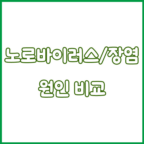 노로바이러스 vs 장염 증상 차이 완전정리 - 원인 전염성 구토 설사 항생제 치료 회복기간 norovirus enteritis