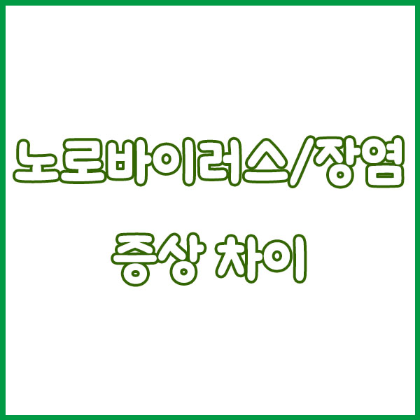 노로바이러스 vs 장염 증상 차이 완전정리 - 원인 전염성 구토 설사 항생제 치료 회복기간 norovirus enteritis