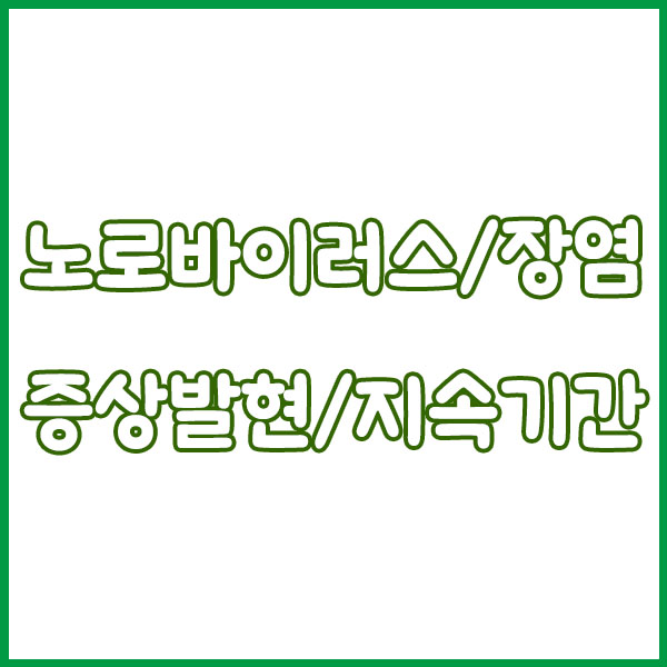 노로바이러스 vs 장염 증상 차이 완전정리 - 원인 전염성 구토 설사 항생제 치료 회복기간 norovirus enteritis