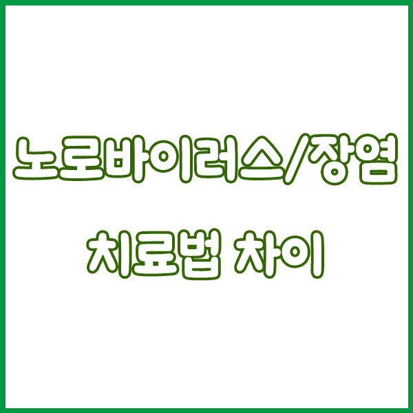 노로바이러스 vs 장염 증상 차이 완전정리 - 원인 전염성 구토 설사 항생제 치료 회복기간 norovirus enteritis