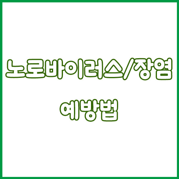 노로바이러스 vs 장염 증상 차이 완전정리 - 원인 전염성 구토 설사 항생제 치료 회복기간 norovirus enteritis